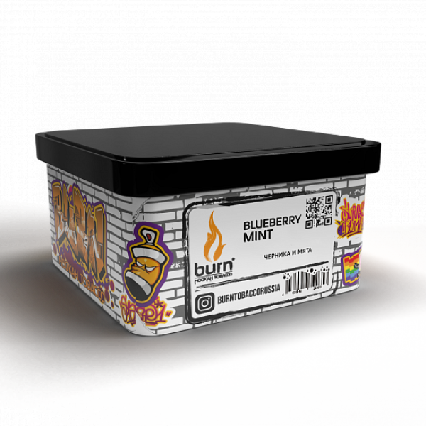 Табак BURN BLUEBERRY MINT 200 грамм в Донецке
