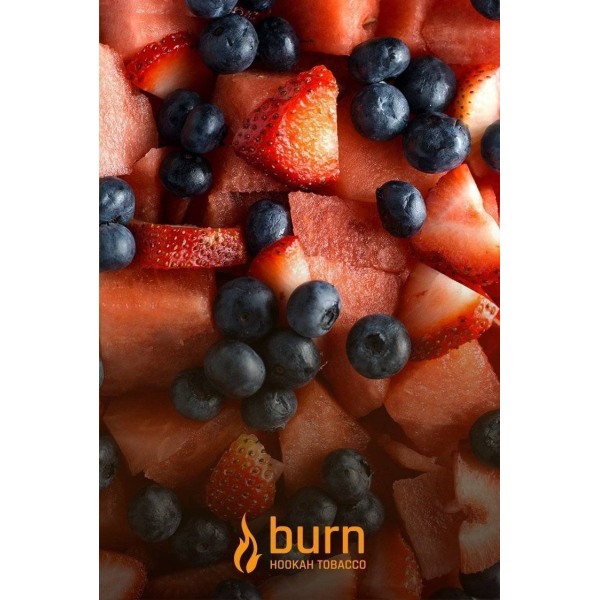 Табак Burn Berried Treasure 100 грамм в Донецке
