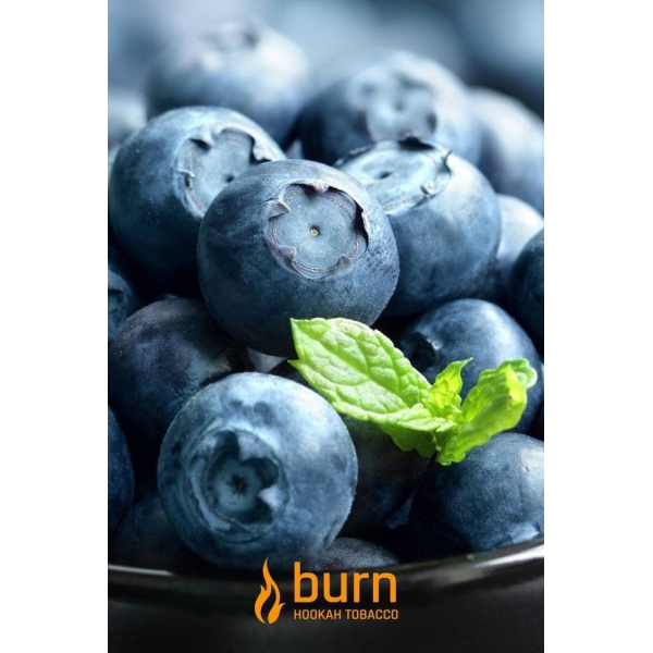 Табак Burn Blueberry Mint 100 грамм в Донецке