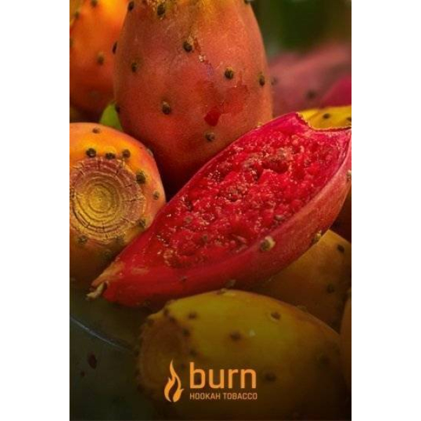 Табак Burn Cactus 100 грамм в Донецке