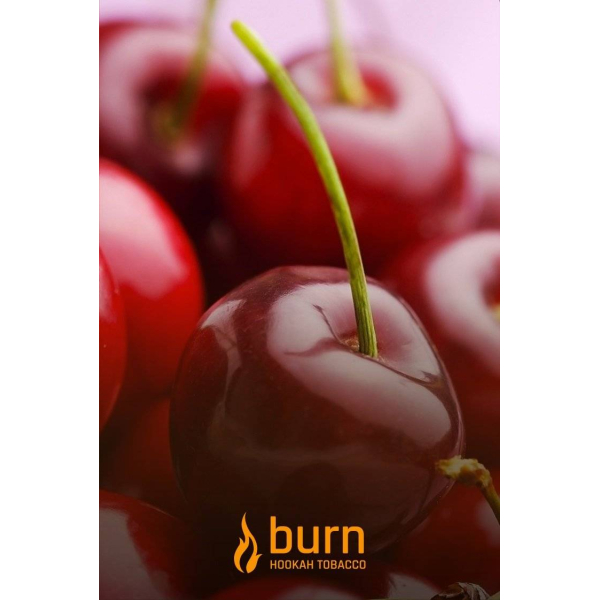 Табак Burn Candy Cherry 100 грамм в Донецке