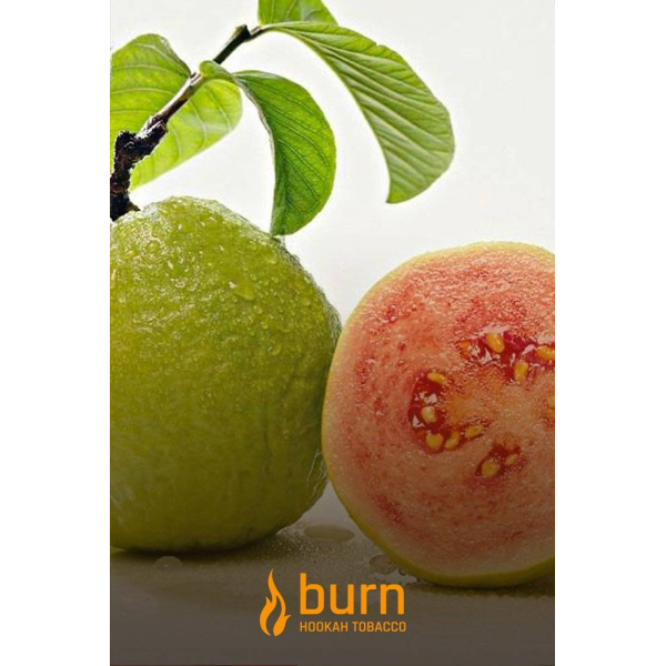 Табак Burn Guava 100 грамм в Донецке