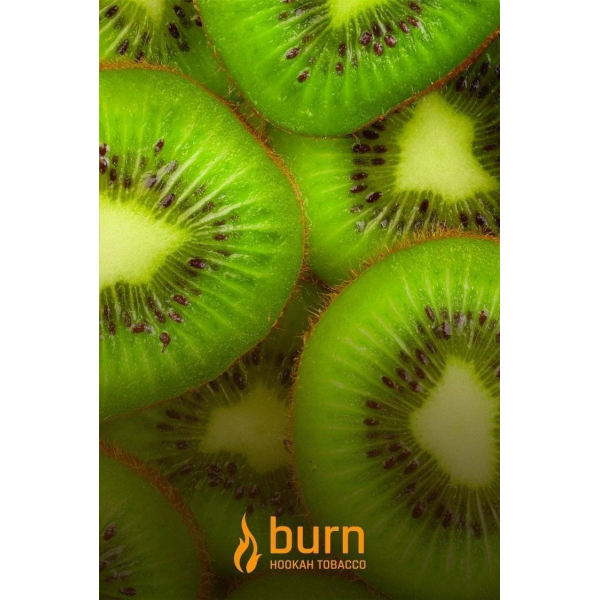 Табак Burn Kiwi 100 грамм в Донецке