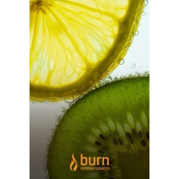 Табак Burn Kiwi Lemon 100 грамм в Донецке