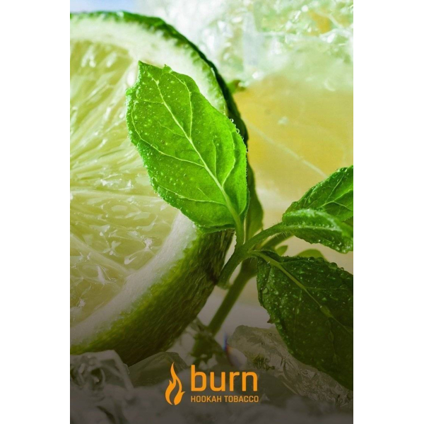 Табак Burn Lemon Mint 100 грамм в Донецке