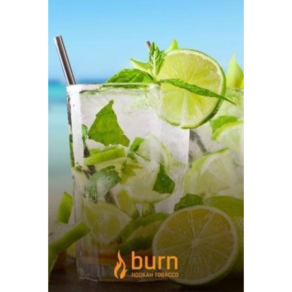 Табак Burn Mojito 100 грамм в Донецке