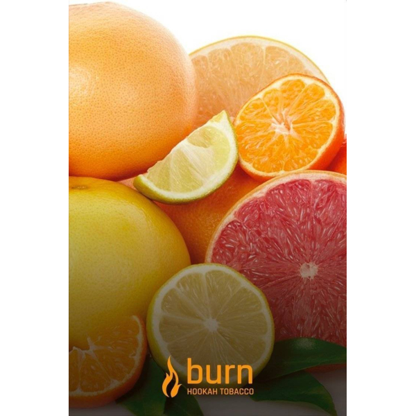 Табак Burn SundaySun 100 грамм в Донецке