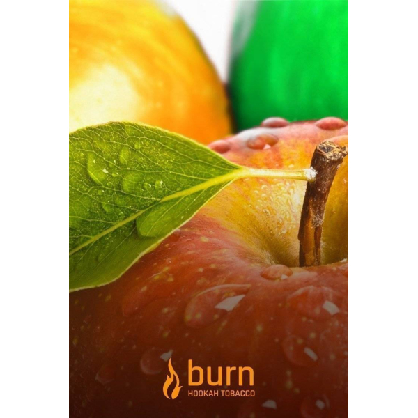 Табак Burn Three Apples 100 грамм в Донецке