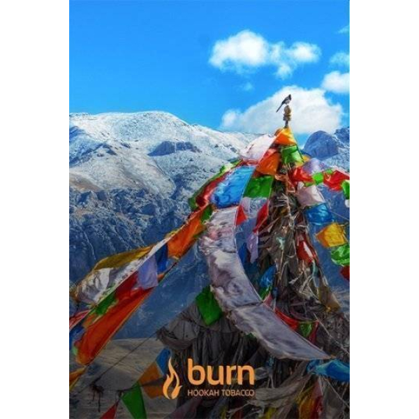 Табак Burn Tibet 100 грамм в Донецке