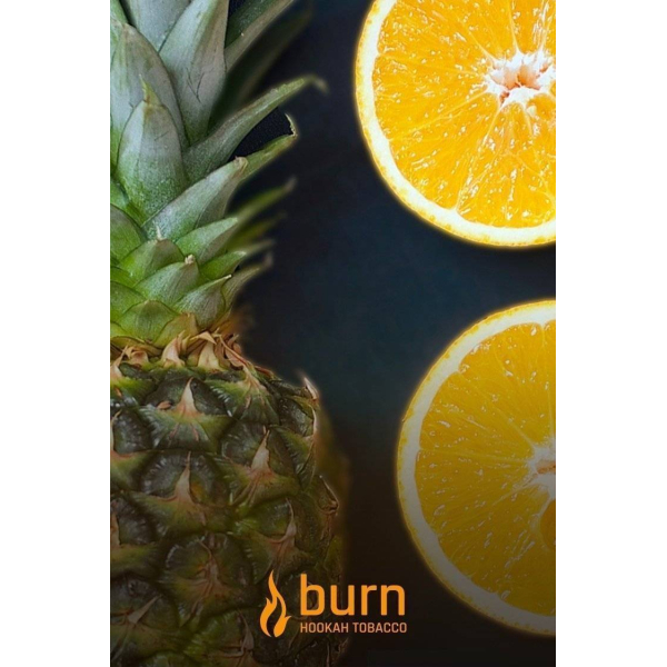 Табак Burn White Night 100 грамм в Донецке