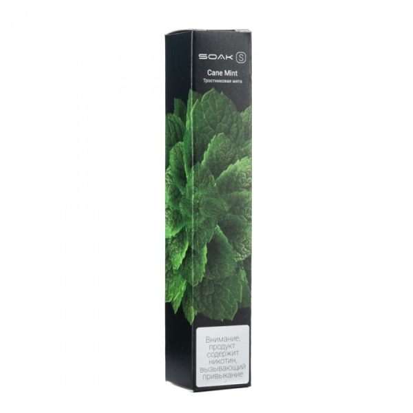 SOAK S Cane Mint (Тростниковая мята), 2500 тяг в Донецке