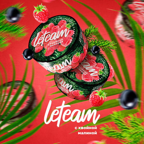 Смесь Leteam С Хвойной Малиной 25 гр в Донецке