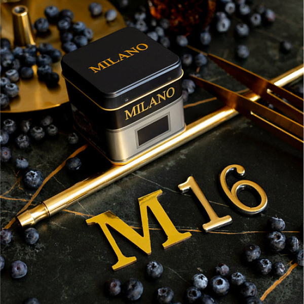 Табак MILANO GOLD М16 BILBERRY 100 гр в Донецке