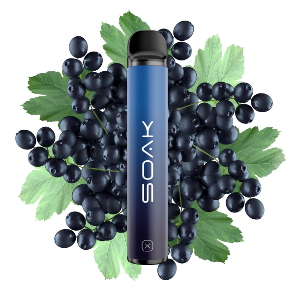 SOAK X Forest Blackcurrant (Лесная черная смородина), 1500 тяг в Донецке