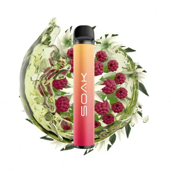 SOAK X Jasmin Raspberry Tea (Жасминовый чай с малиной), 1500 тяг в Донецке