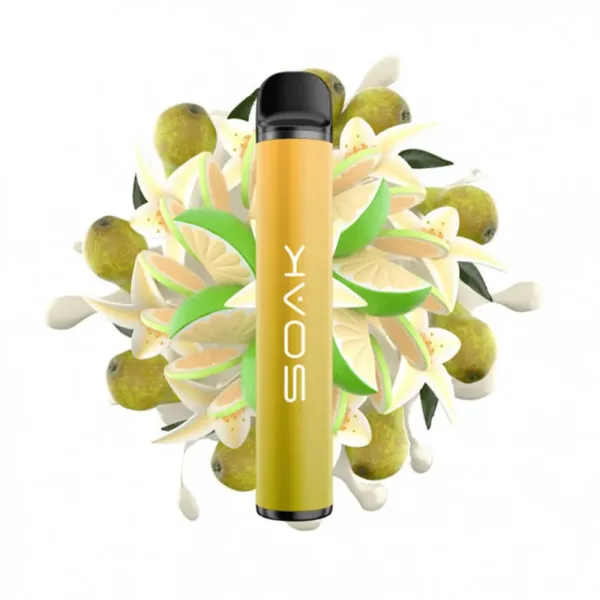 SOAK X Vanilla Pear (Ванильная груша с лаймом), 1500 тяг в Донецке