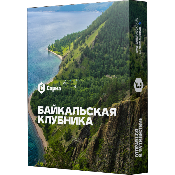 Табак Сарма Байкальская Клубника 25 гр в Донецке