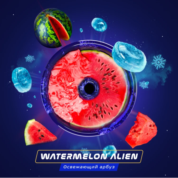 Паста Space Smoke BASIC Watermelon  Alien (Арбуз с  холодком) 125 гр в Донецке